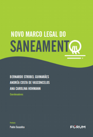 O novo marco legal do saneamento e a possibilidade de resolução de disputas e conflitos por meio da arbitragem e da ação arbitral da ANA